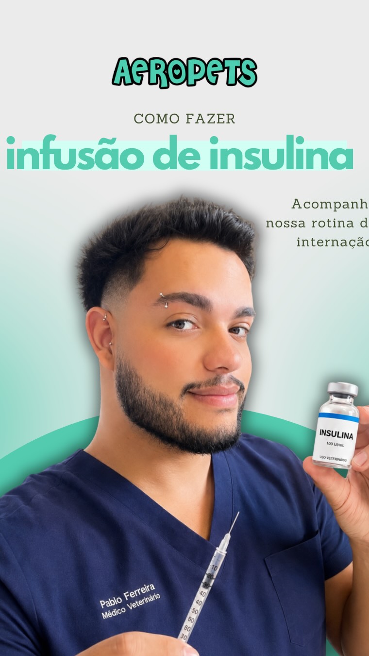 Cão durante acompanhamento veterinário na Aeropets