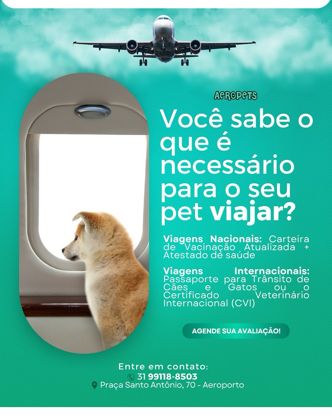 Publicação da Aeropets sobre a documentação necessária para viajar com o pet