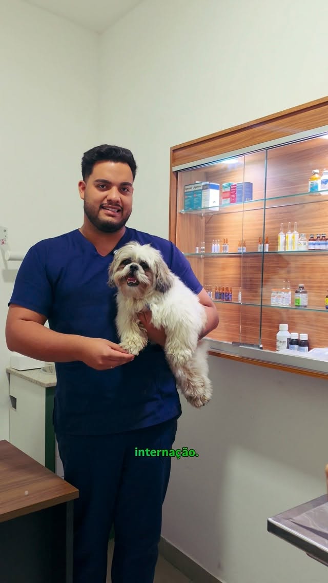 Atendimento a um pet na Aeropets