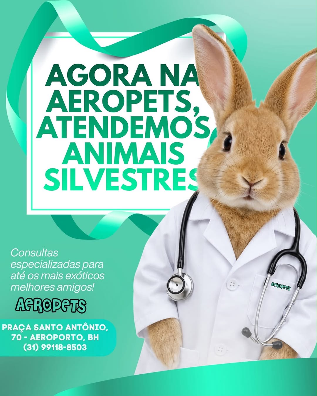 Publicação da Aeropets sobre atendimento a animais silvestres