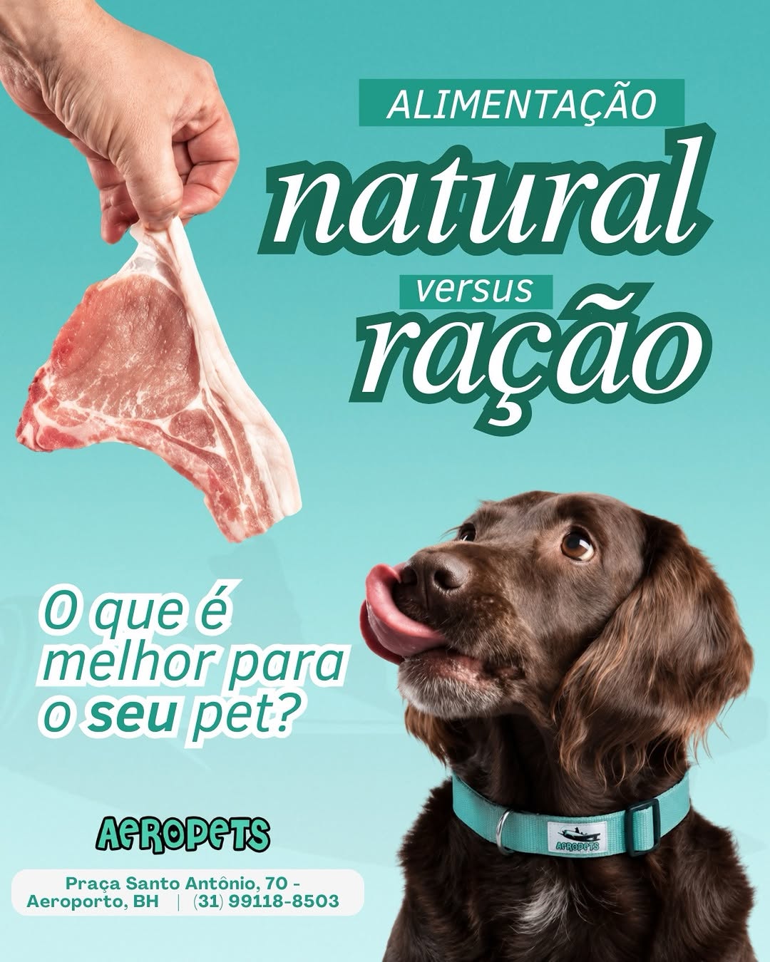 Publicação da Aeropets comparando alimentação natural e ração